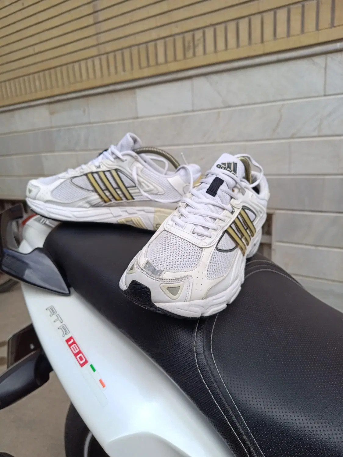 adidas|کیف، کفش، کمربند|قم, عمار یاسر|دیوار