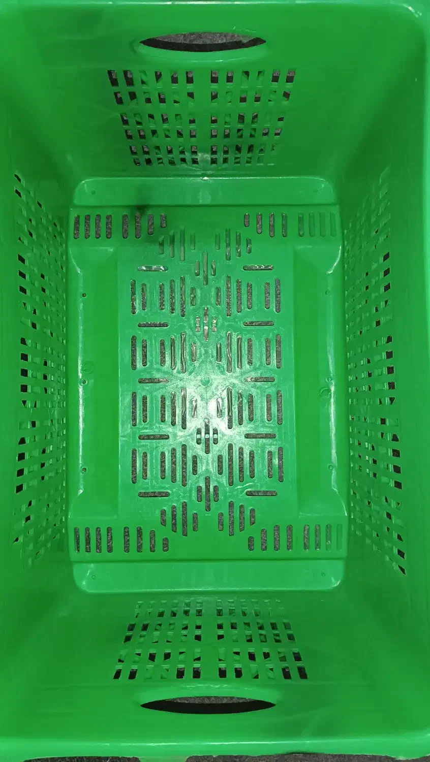 سبد مرغی|عمدهفروشی|بندر ترکمن, |دیوار