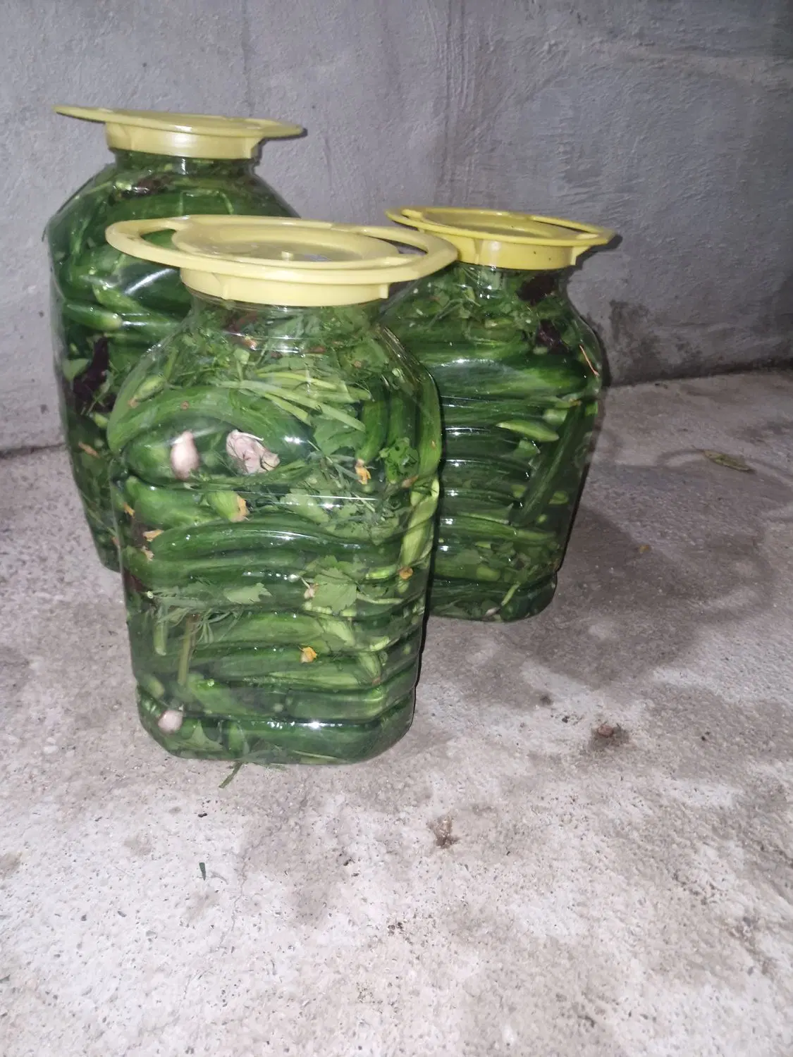 خیار|خوردنی و آشامیدنی|ارومیه, |دیوار