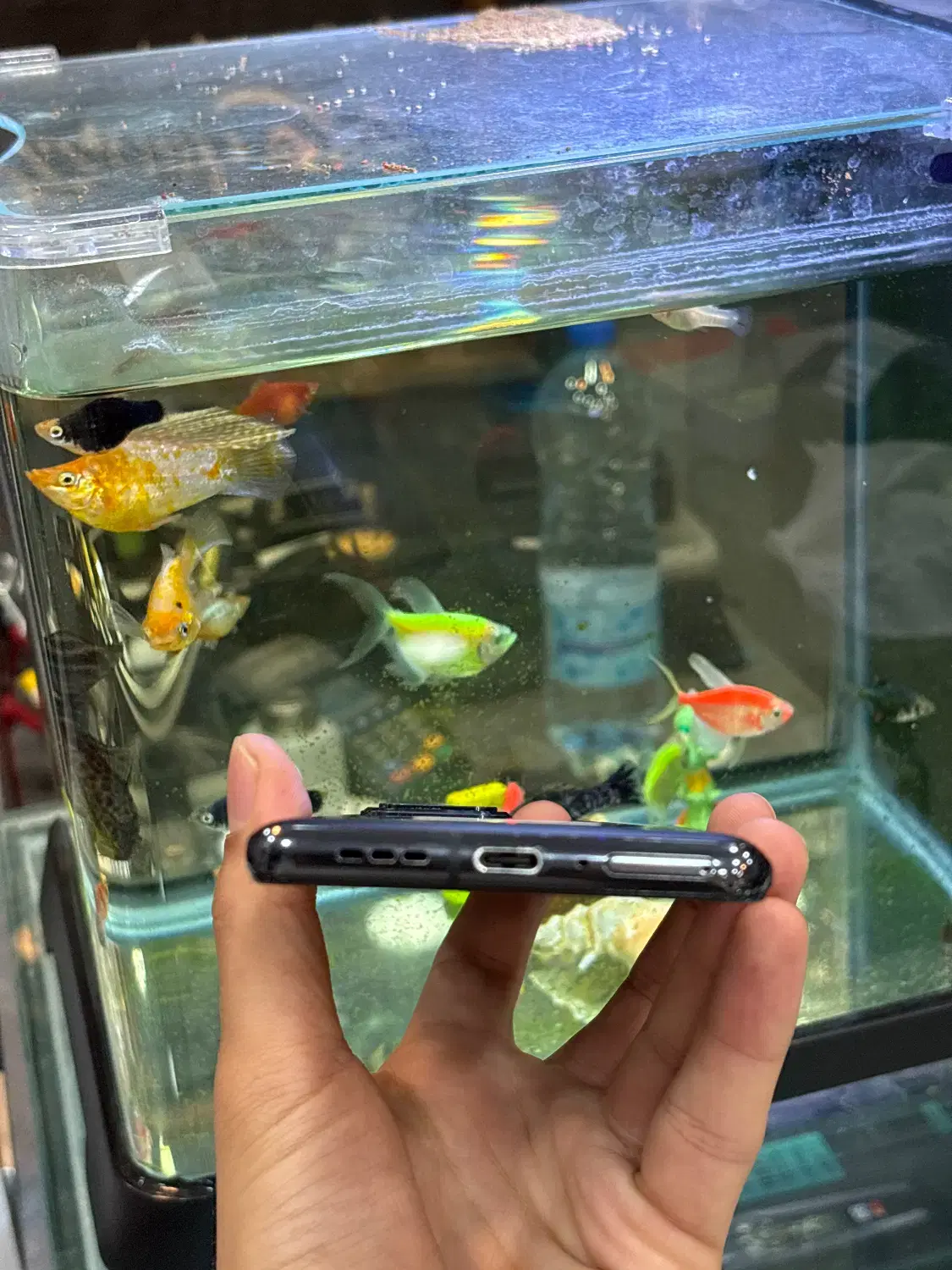 Shark5pro|موبایل|شیراز, زند|دیوار