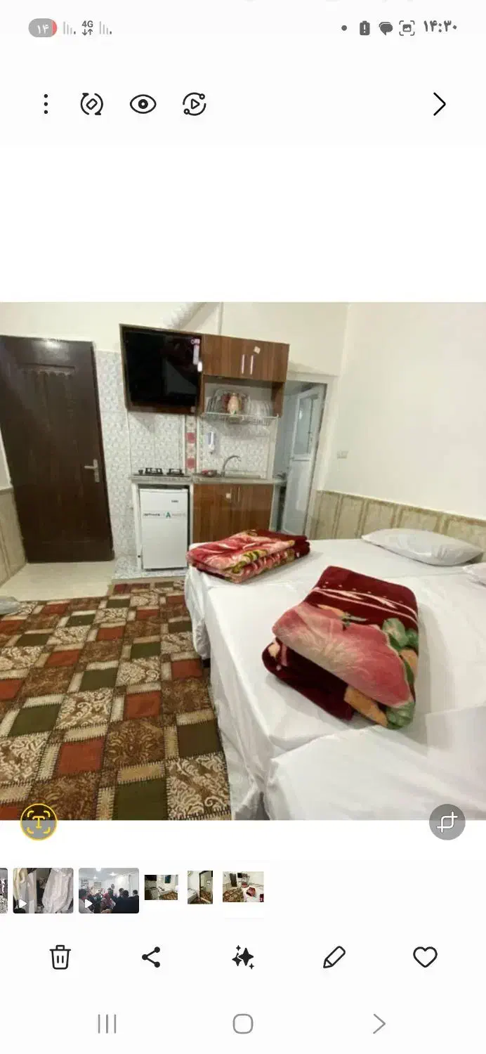 تورزیارتی مشهد مقدس|تور و چارتر|یزد, |دیوار