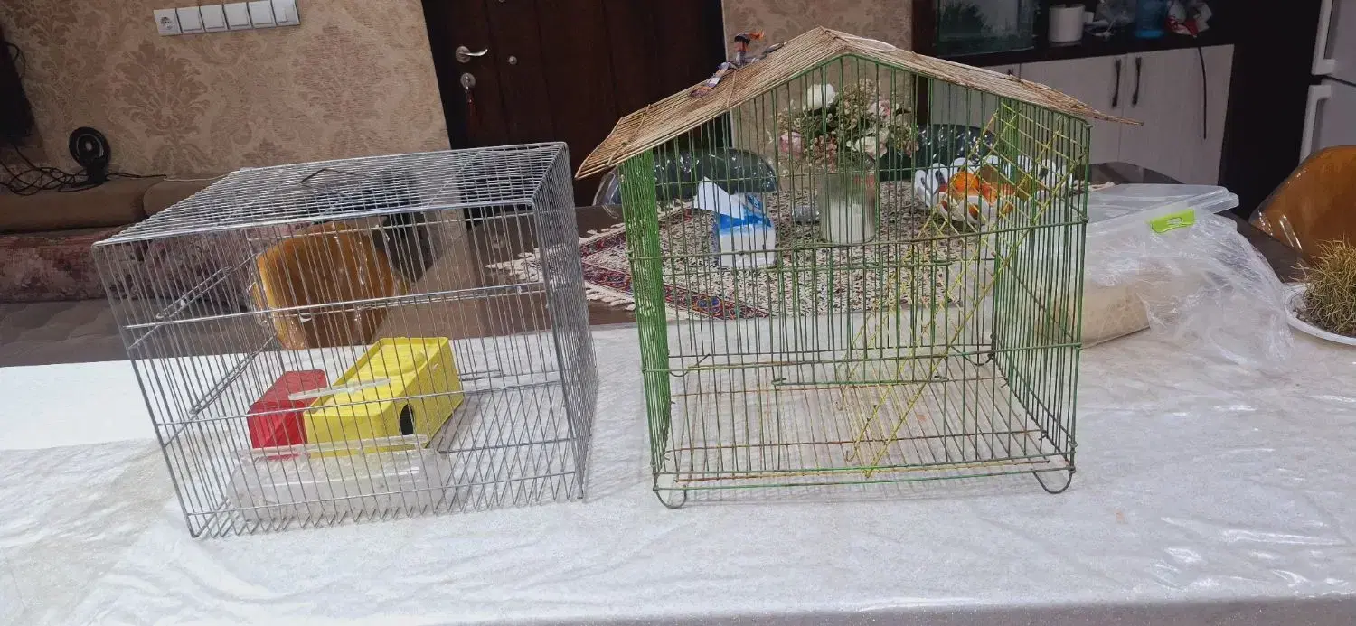 قفس|لوازم جانبی حیوانات|اهواز, نادری|دیوار