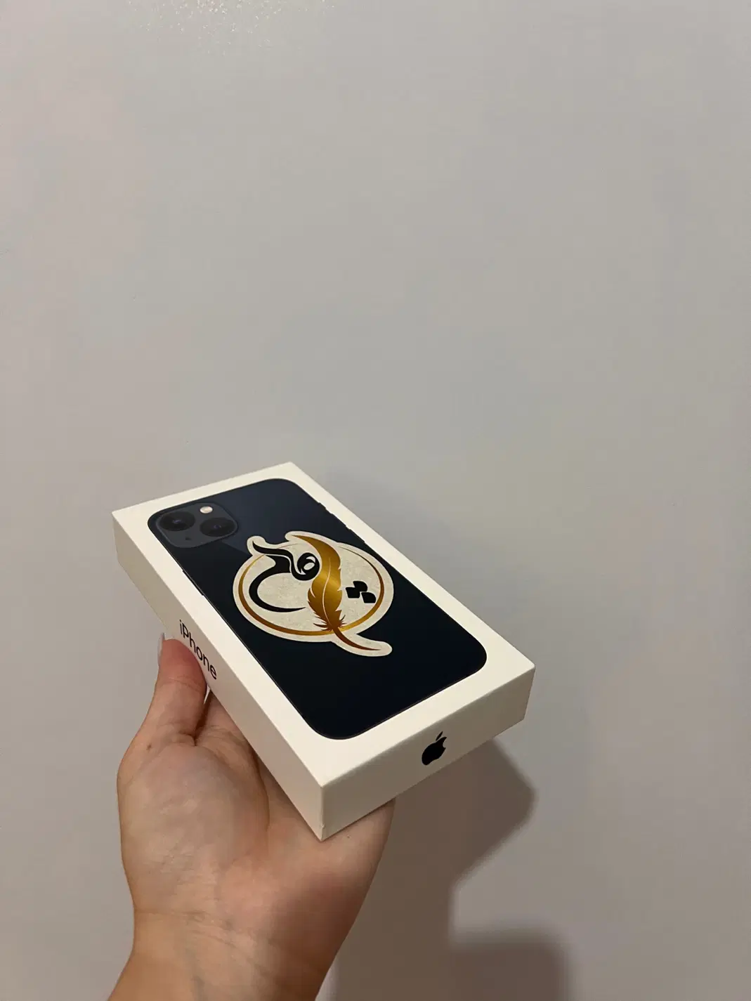 iPhone 13 normal|موبایل|تهران, سازمان آب|دیوار