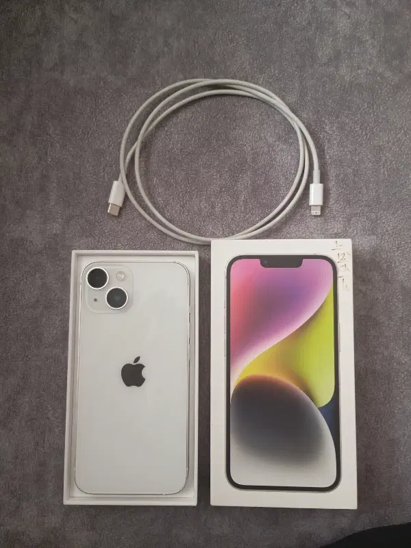 lphone14 normal|موبایل|رشت, دروازه لاکان|دیوار
