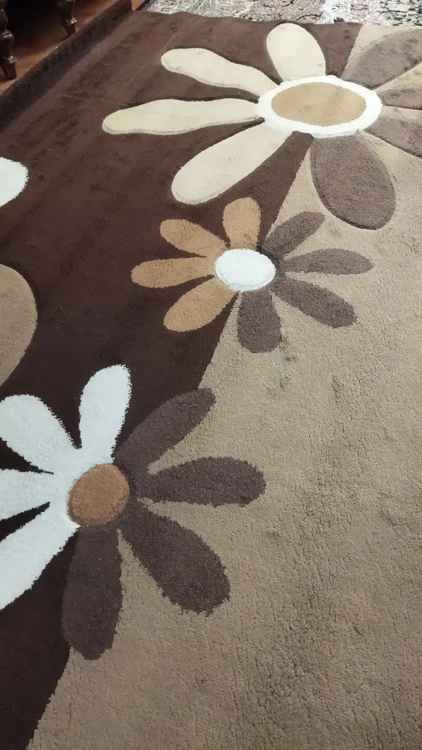 یک جفت گلیم فرش شش متری|گلیم، جاجیم، گبه|کرمانشاه, |دیوار