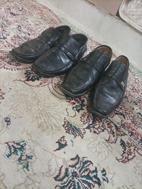 کفش مردانه|کیف، کفش، کمربند|زاهدان, |دیوار