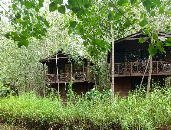 سرمایه گذاری سودمند