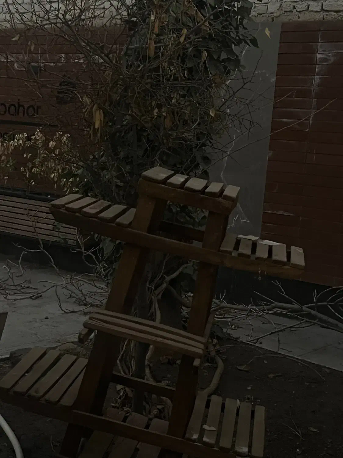 پایه گل|گل و گیاه طبیعی|مشهد, کوثر|دیوار