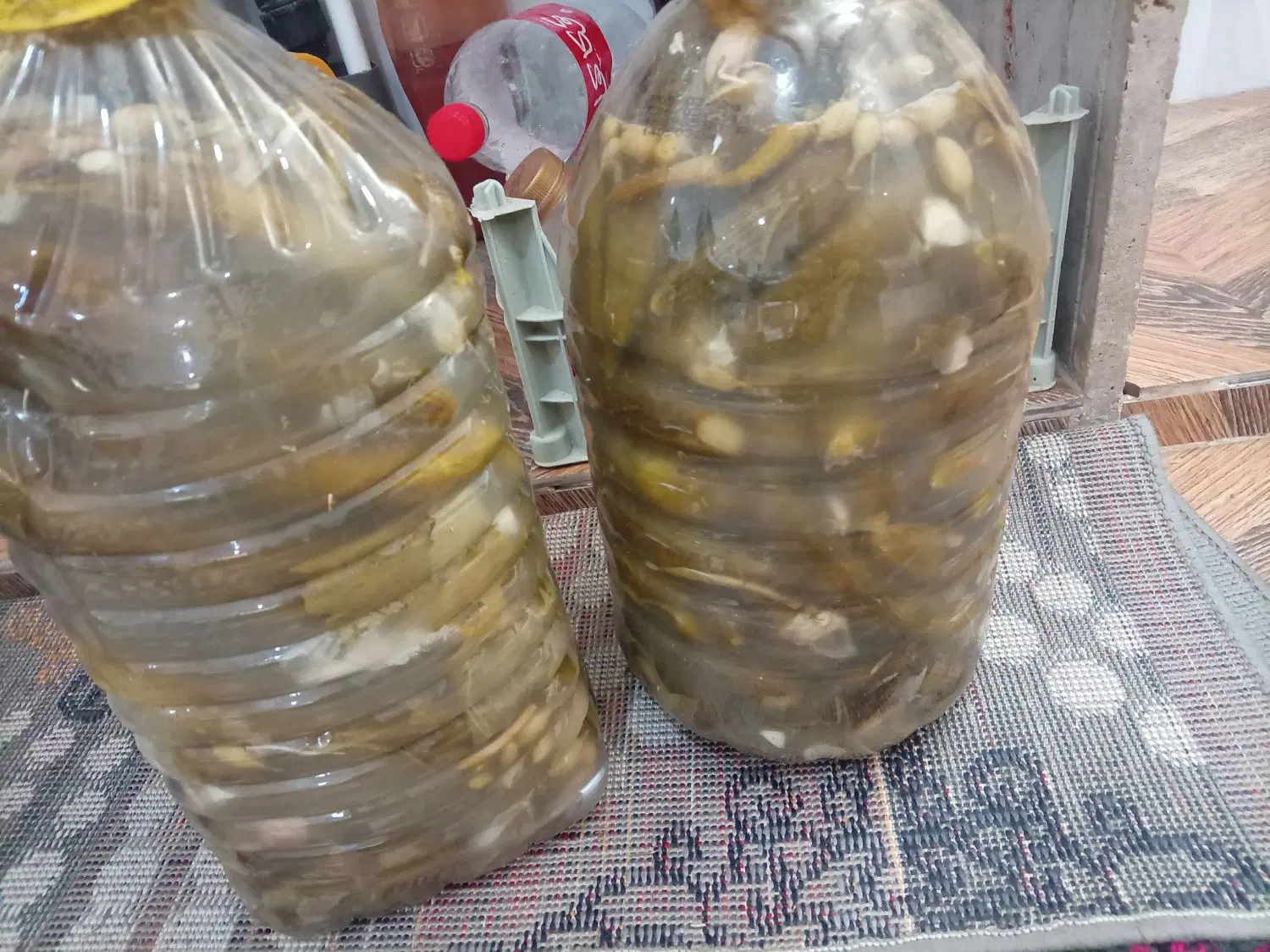 خوردنی|خوردنی و آشامیدنی|نیشابور, فردوسی جنوبی|دیوار