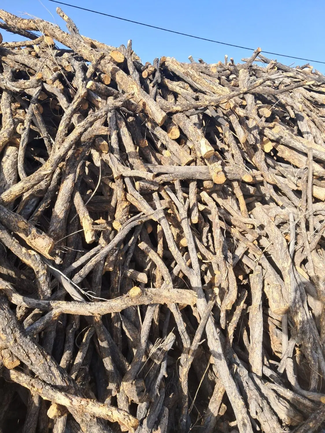 چوب|خدمات باغبانی و درختکاری|زرگرشهر, |دیوار