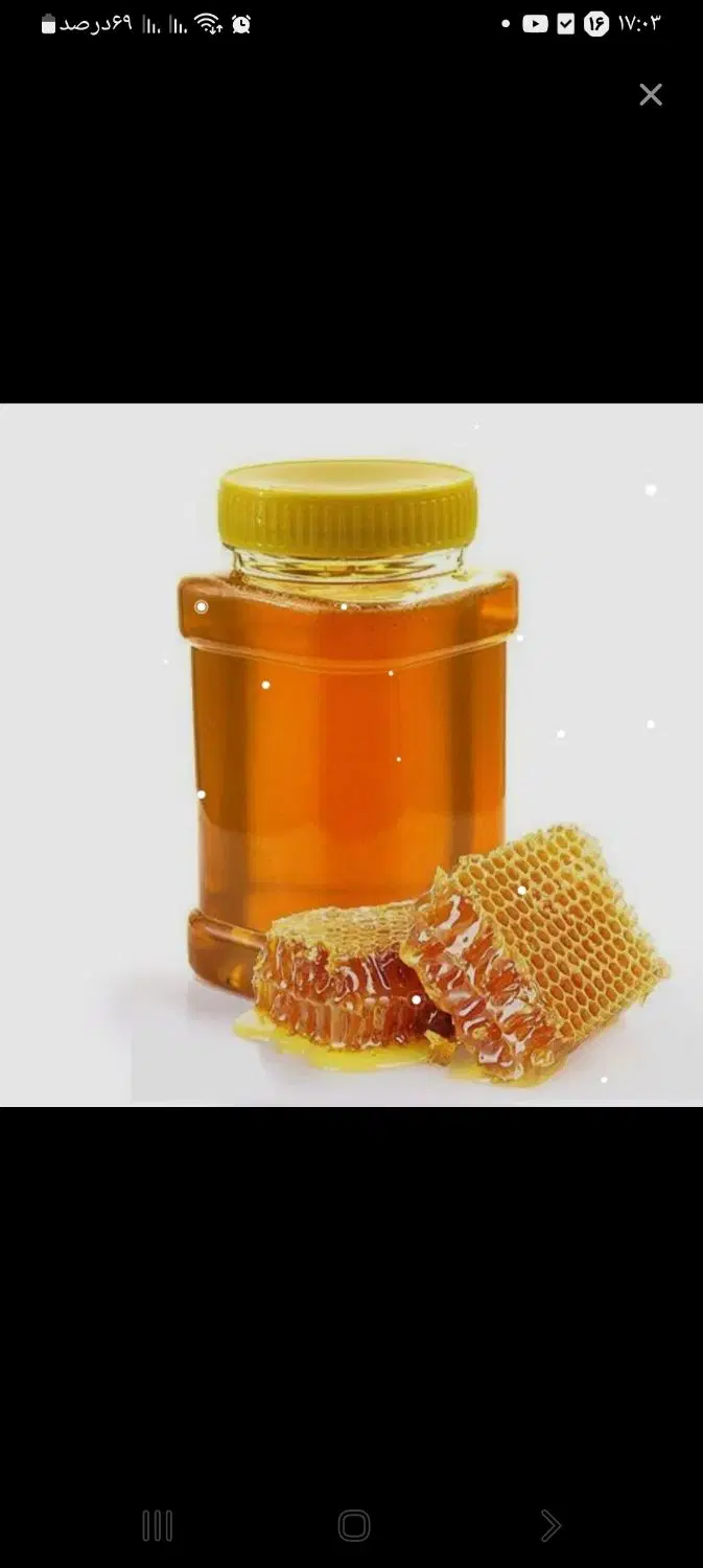 عسل 300|خوردنی و آشامیدنی|زنجان, |دیوار