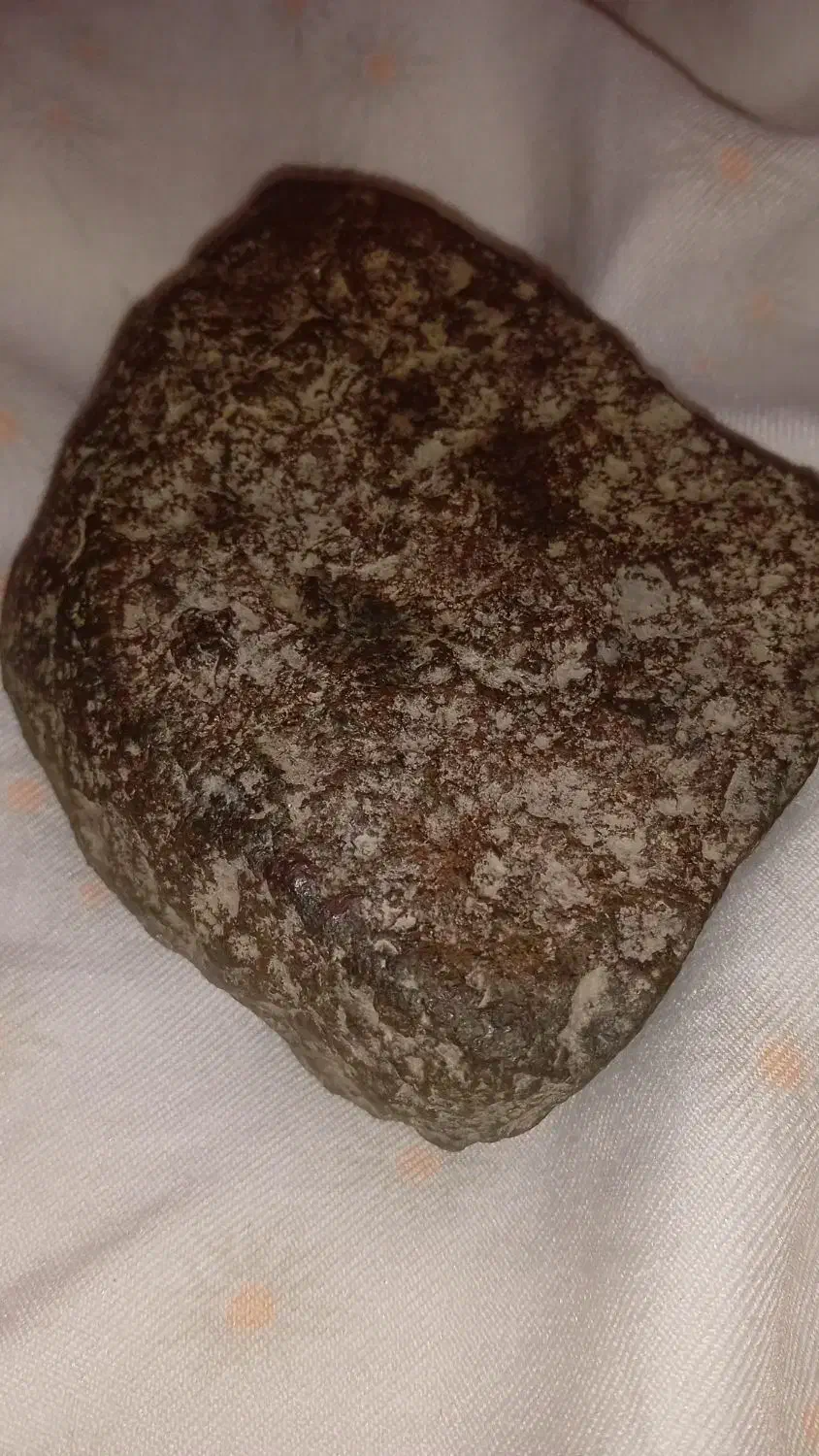 شهاب سنگ|کلکسیون اشیاء عتیقه|شاندیز, |دیوار