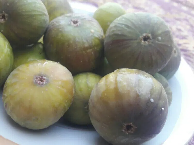 انجیر|خوردنی و آشامیدنی|پارس‌آباد, |دیوار
