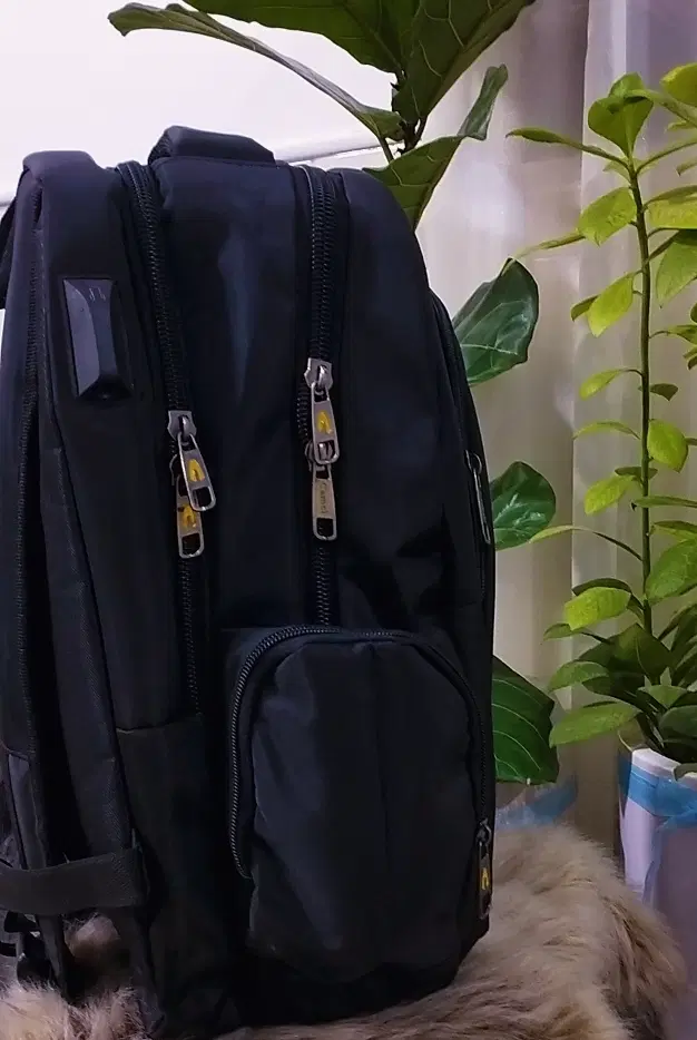 کیف|کیف، کفش، کمربند|نیشابور, سرآب کوشک|دیوار