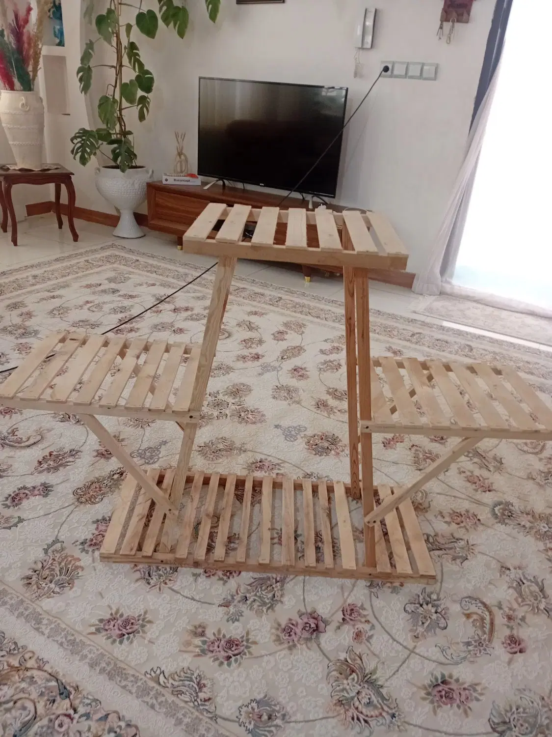 استندگل|گل و گیاه طبیعی|شیروان (خراسان), |دیوار