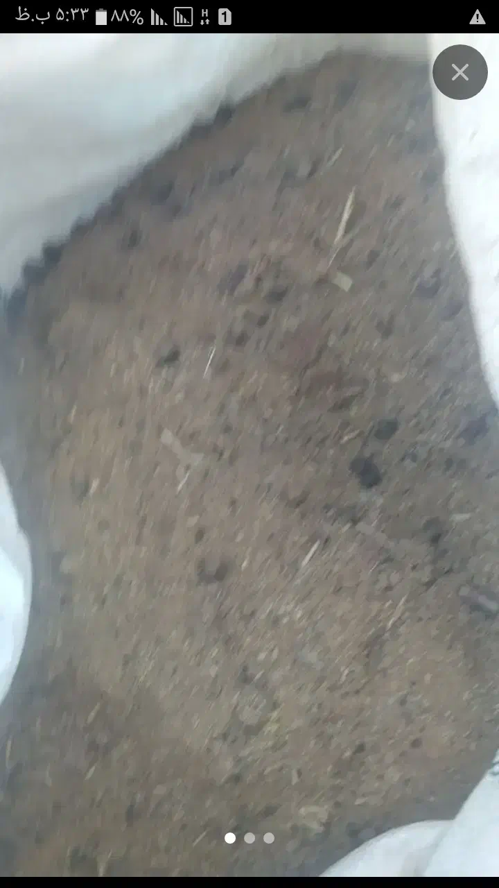 کود گوسفند|خدمات باغبانی و درختکاری|رفسنجان, |دیوار