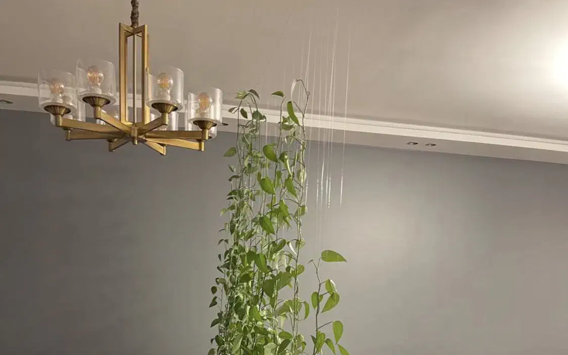 لوستر|لوستر و چراغ آویز|تهران, حکمت|دیوار