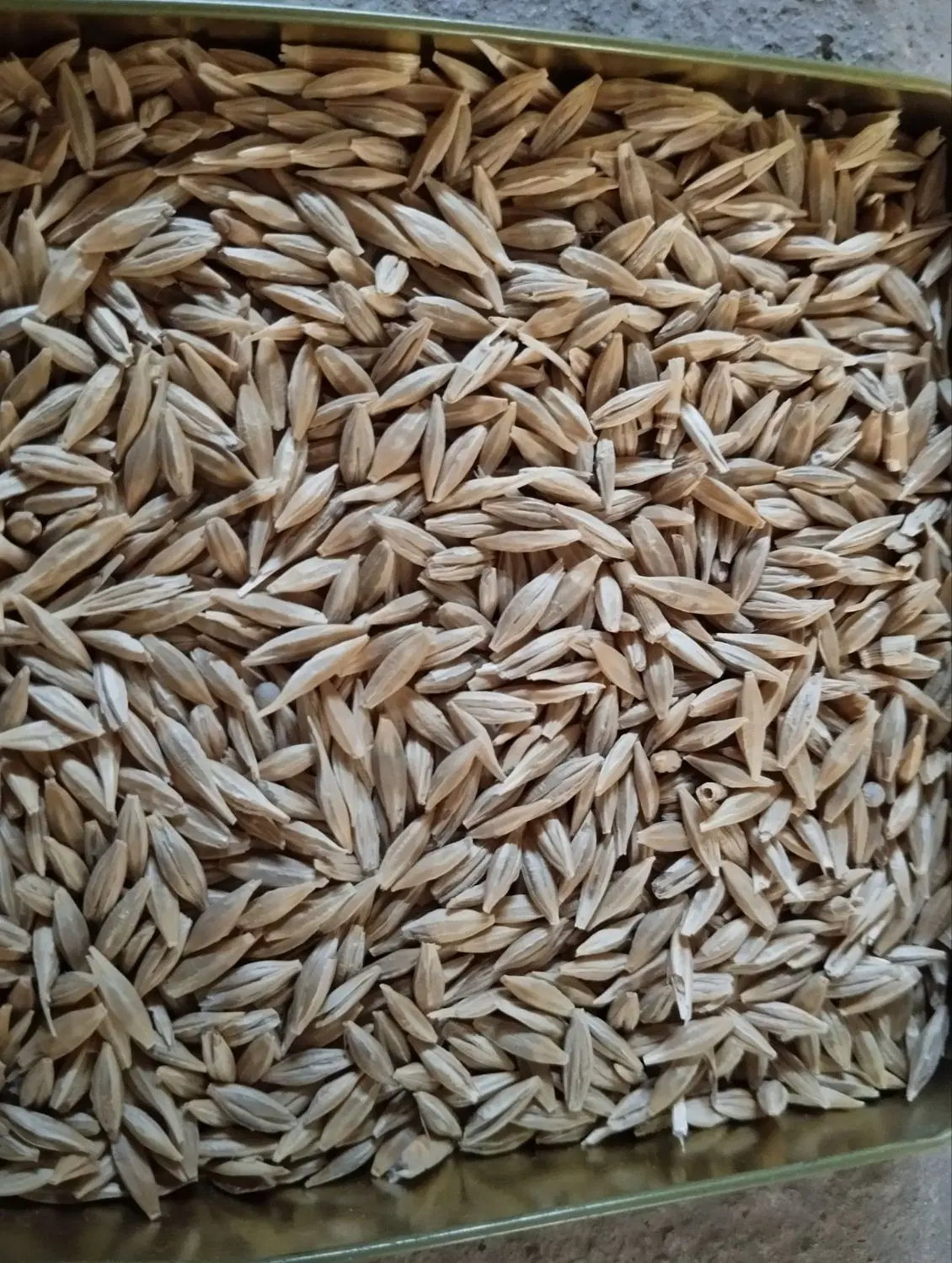 جوو|عمدهفروشی|اسلامآباد غرب, |دیوار