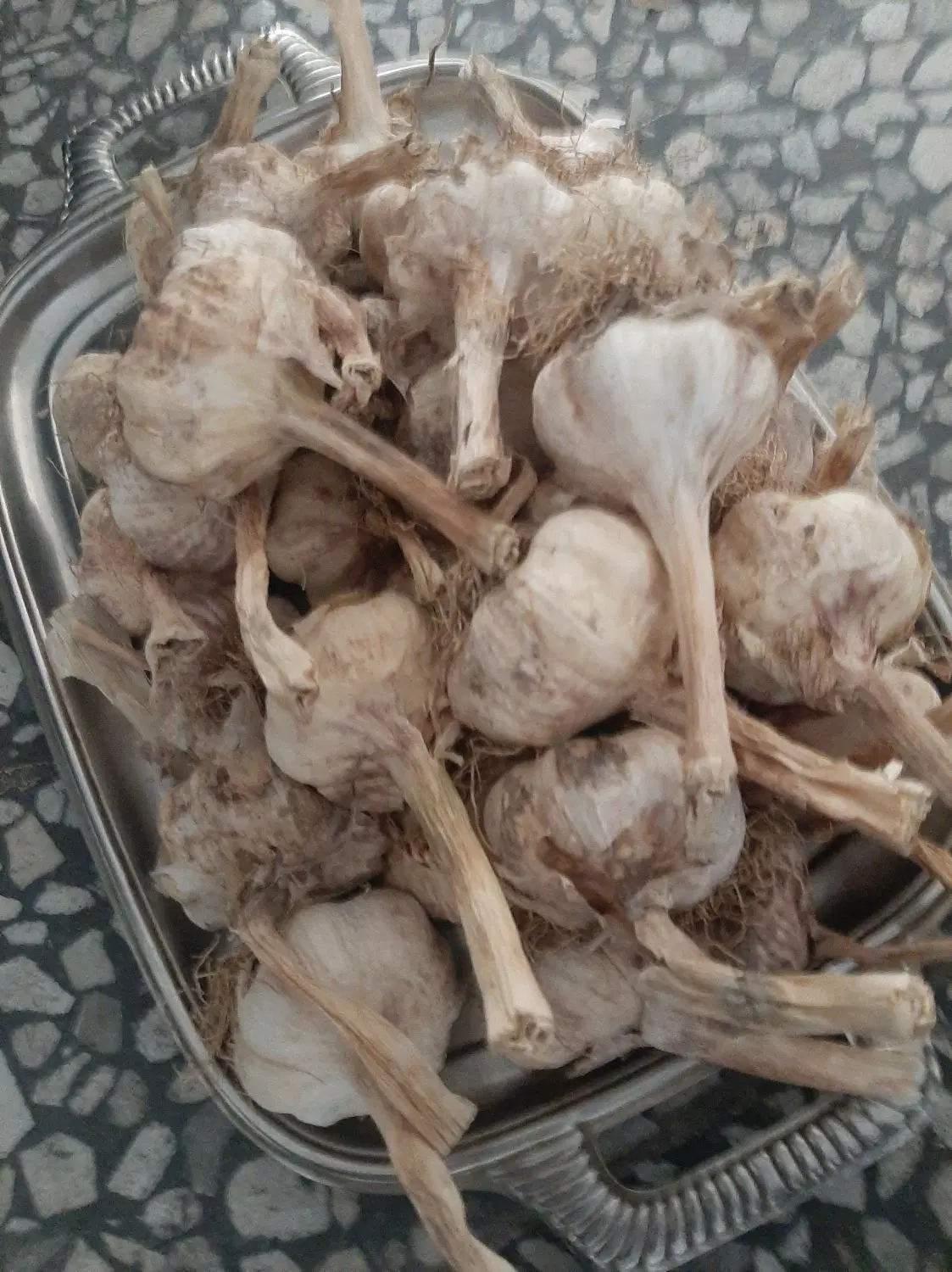 سیر|خوردنی و آشامیدنی|ساری, |دیوار