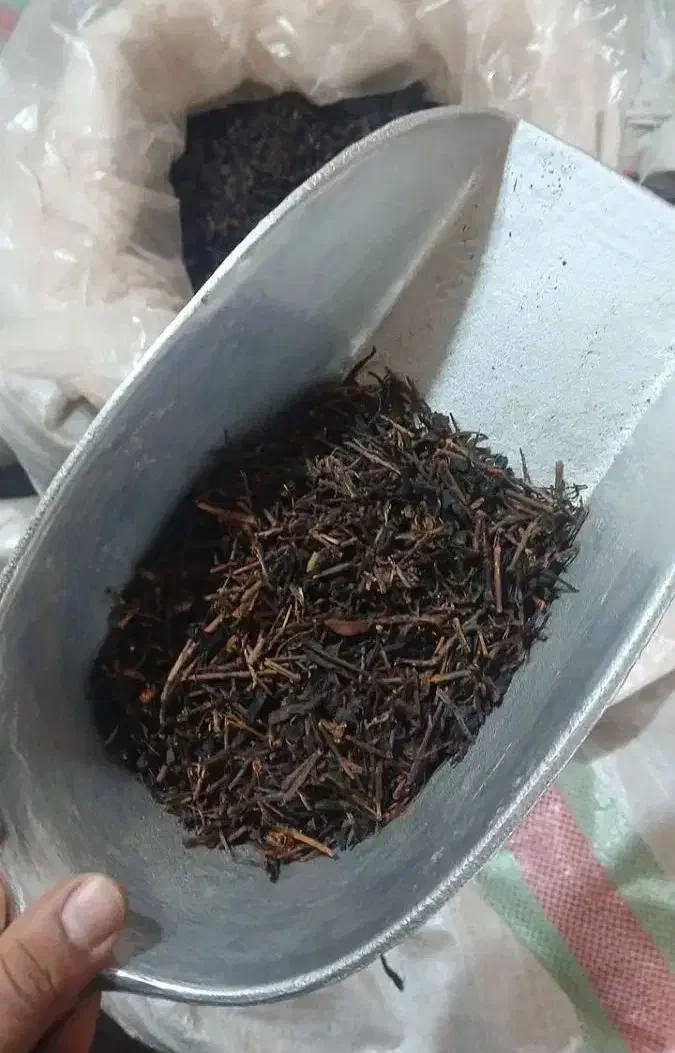 چایی بهاره|خوردنی و آشامیدنی|رباطکریم, الارد|دیوار