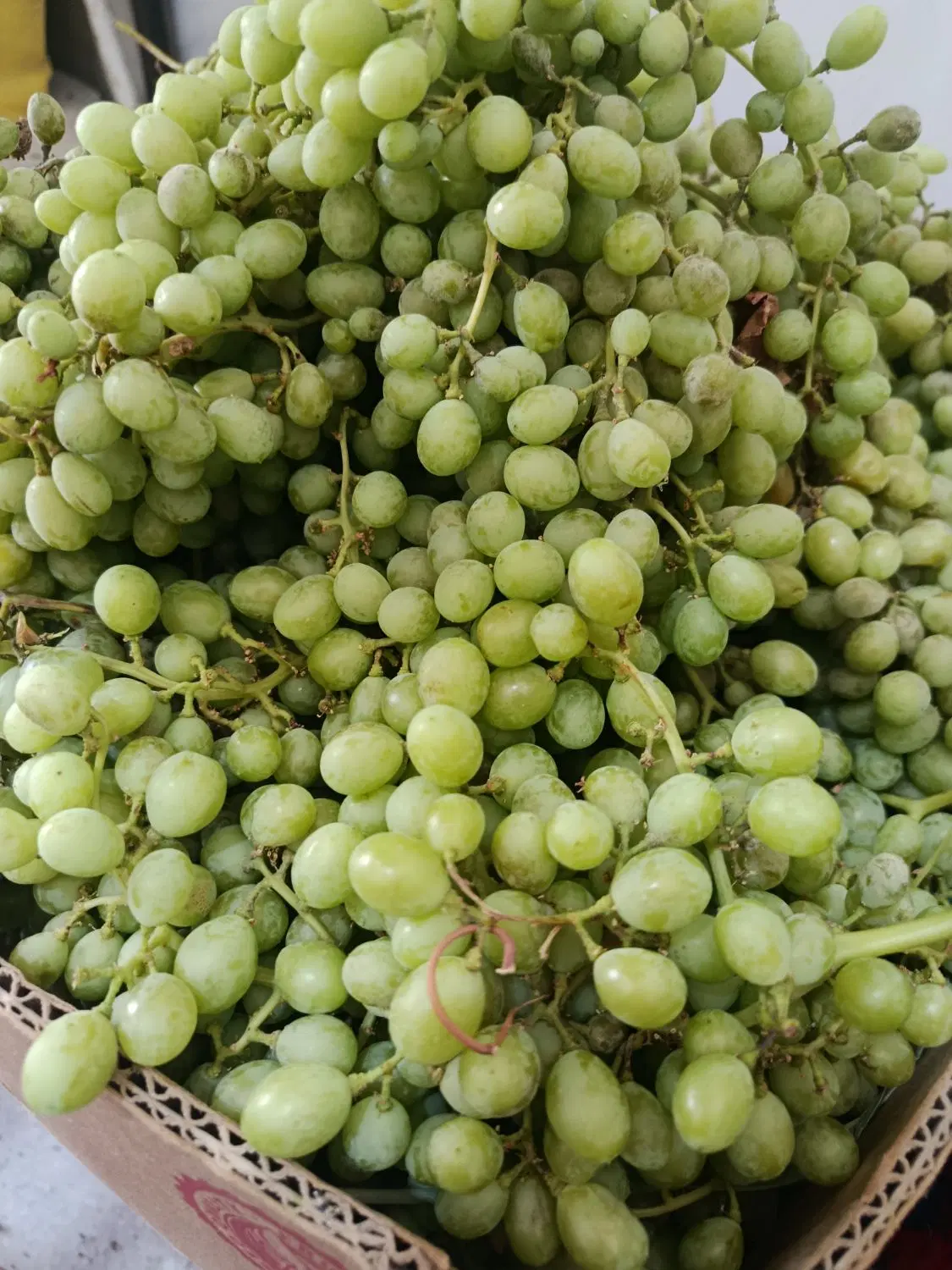 غوره|خوردنی و آشامیدنی|کنگاور, |دیوار