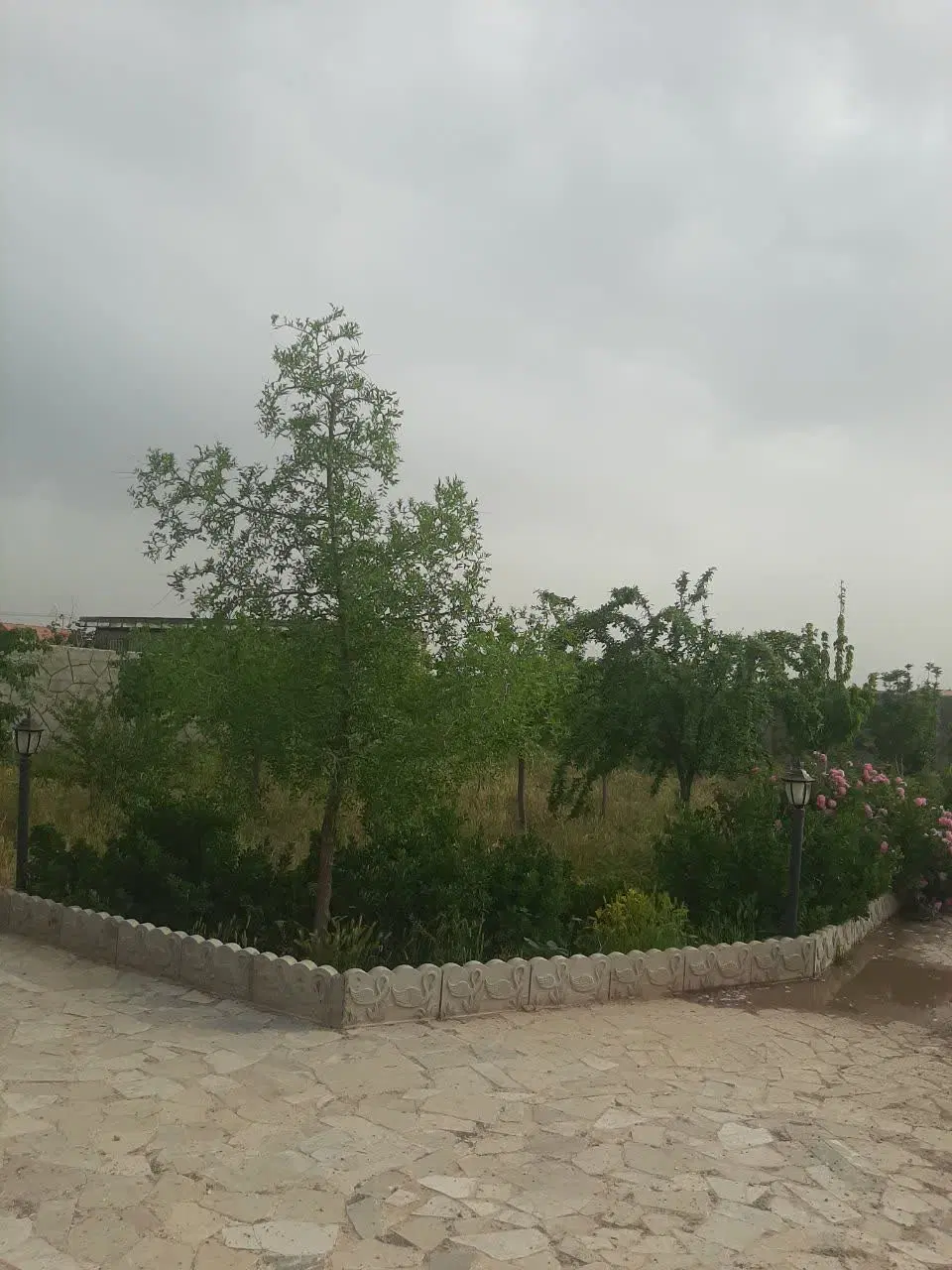تصویر 13