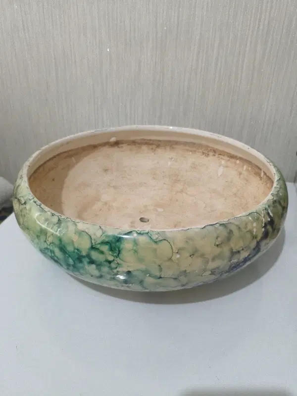 گلدان|گل و گیاه طبیعی|رشت, آزادگان|دیوار