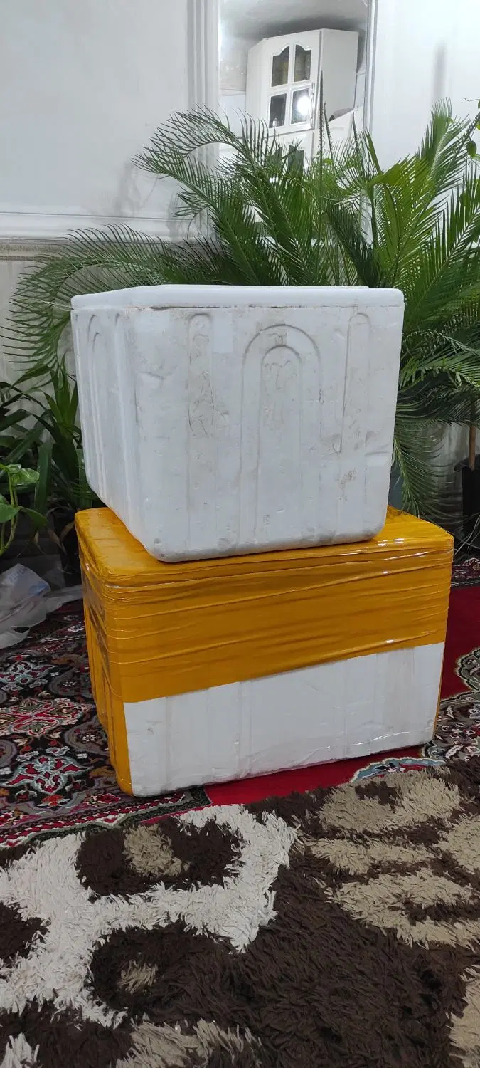 یخدون|ظروف نگهدارنده، پلاستیکی، یک‌بارمصرف|شادگان, |دیوار