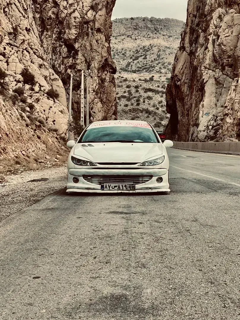 ۲۰۶ SD|خودرو سواری و وانت|شیراز, کوشک میدان|دیوار