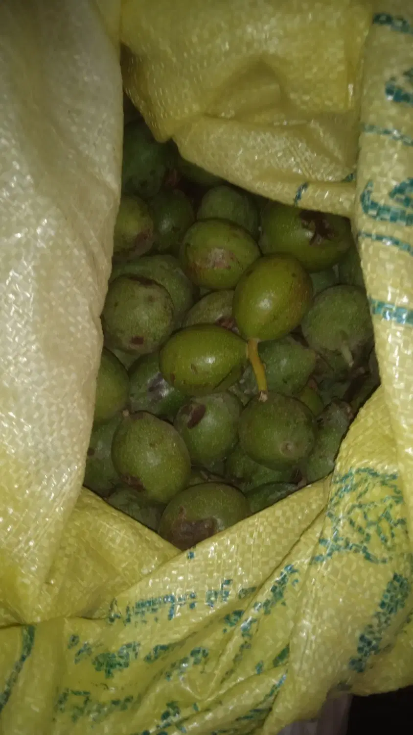 گردو|خوردنی و آشامیدنی|کاشان, کارگر|دیوار