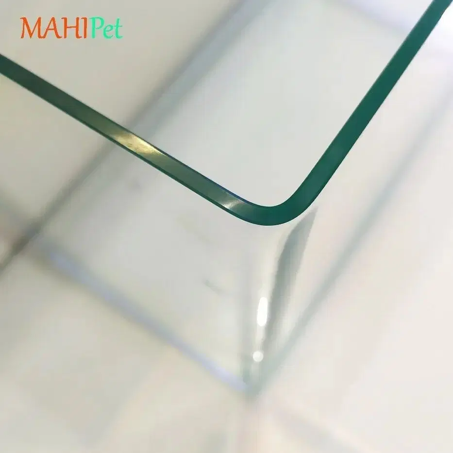 آکواریوم|ماهی|بیجار, |دیوار