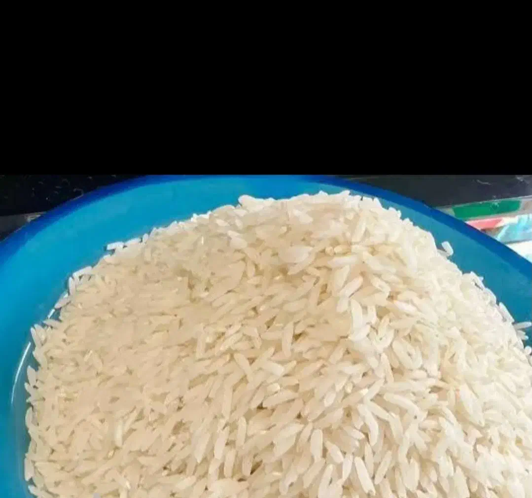 لاشه و نیم دانه و برنج طارم هاشمی|خوردنی و آشامیدنی|ساری, |دیوار