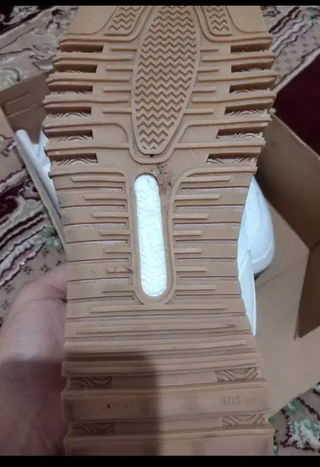 کفش نو|کیف، کفش، کمربند|اندیمشک, |دیوار