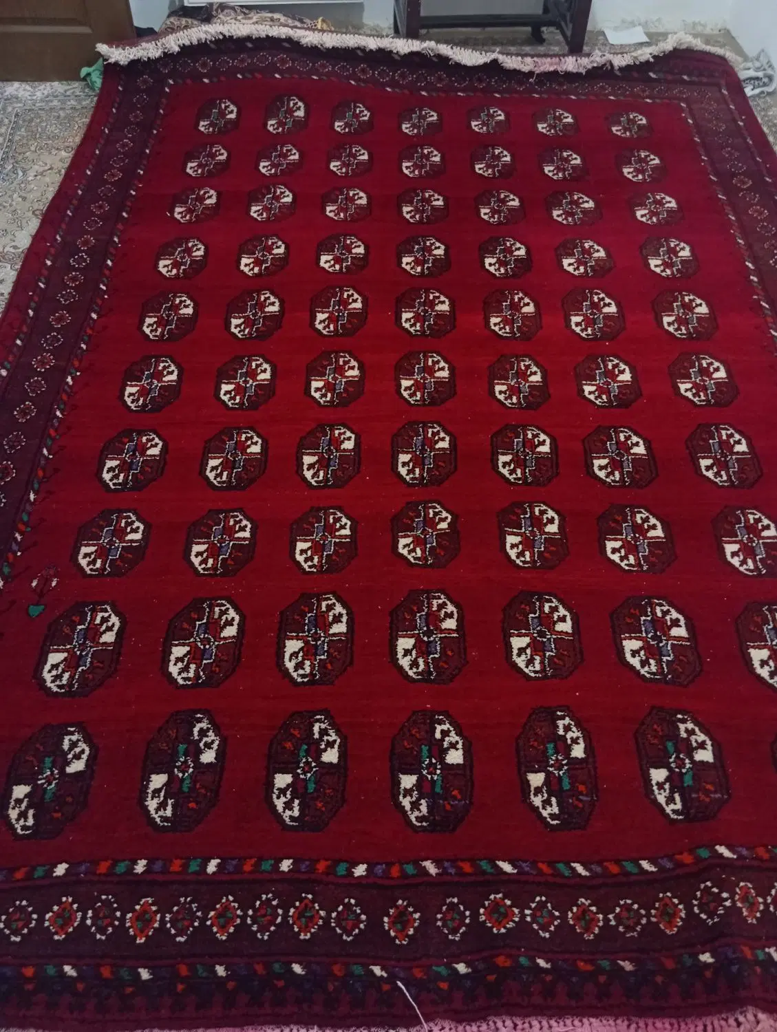فرش|فرش|شیروان (خراسان), |دیوار