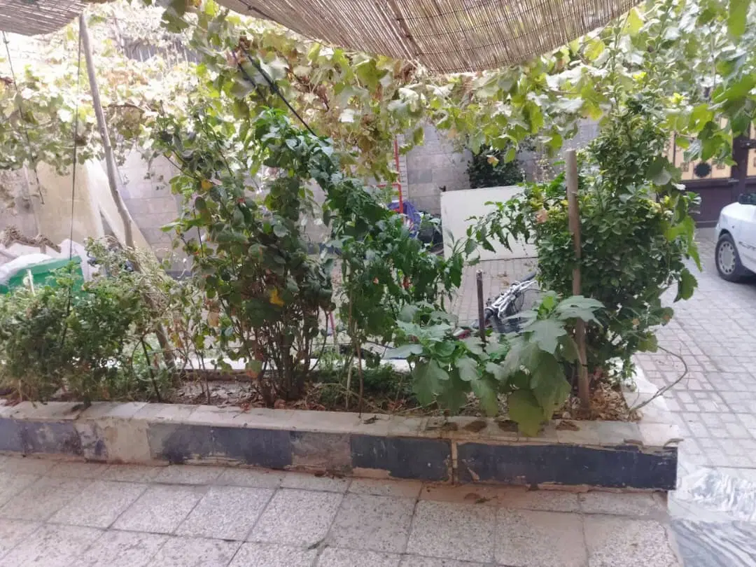 تصویر 7