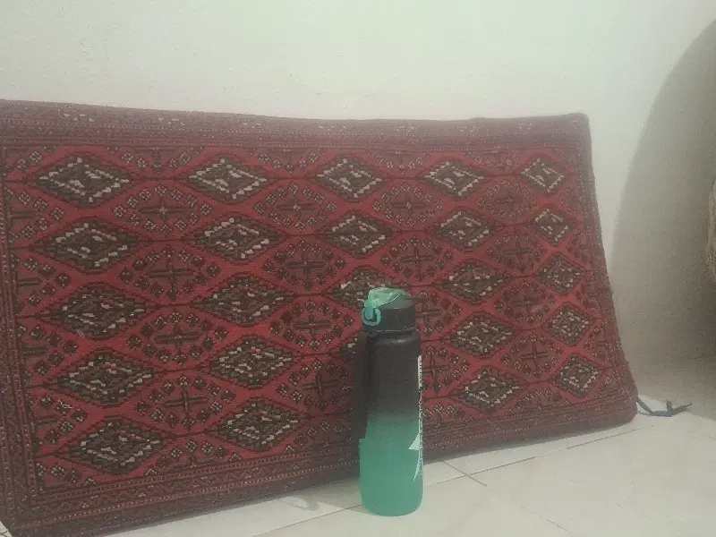 پشتی|پشتی|شیراز, مسلم|دیوار