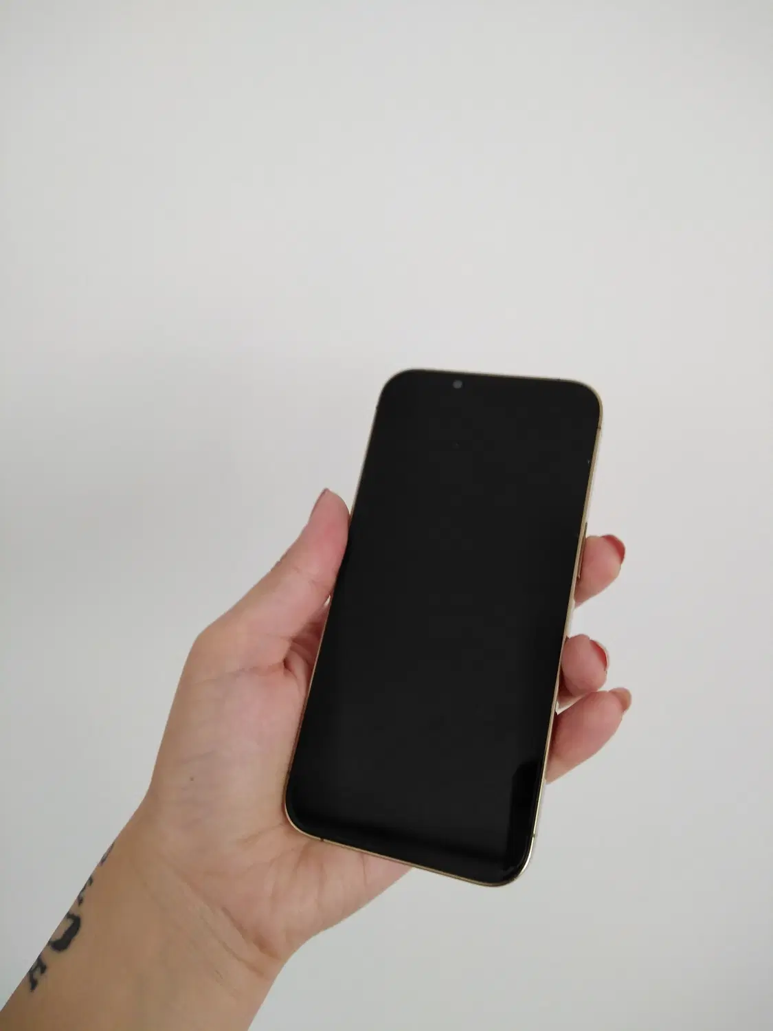 Iphone 13 pro|موبایل|یزد, |دیوار