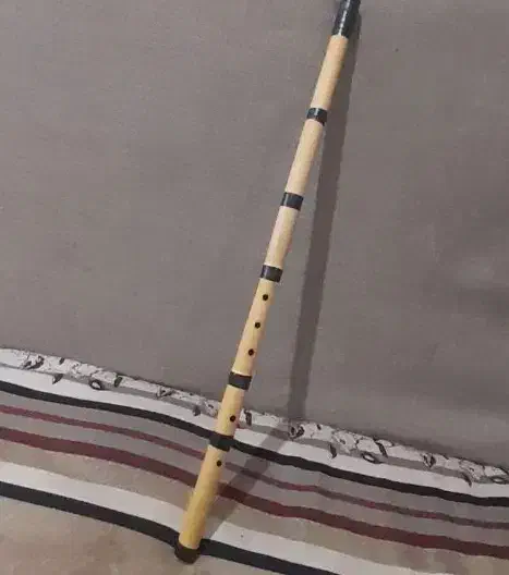 اموزش نی|سازهای بادی|اهواز, نادری|دیوار