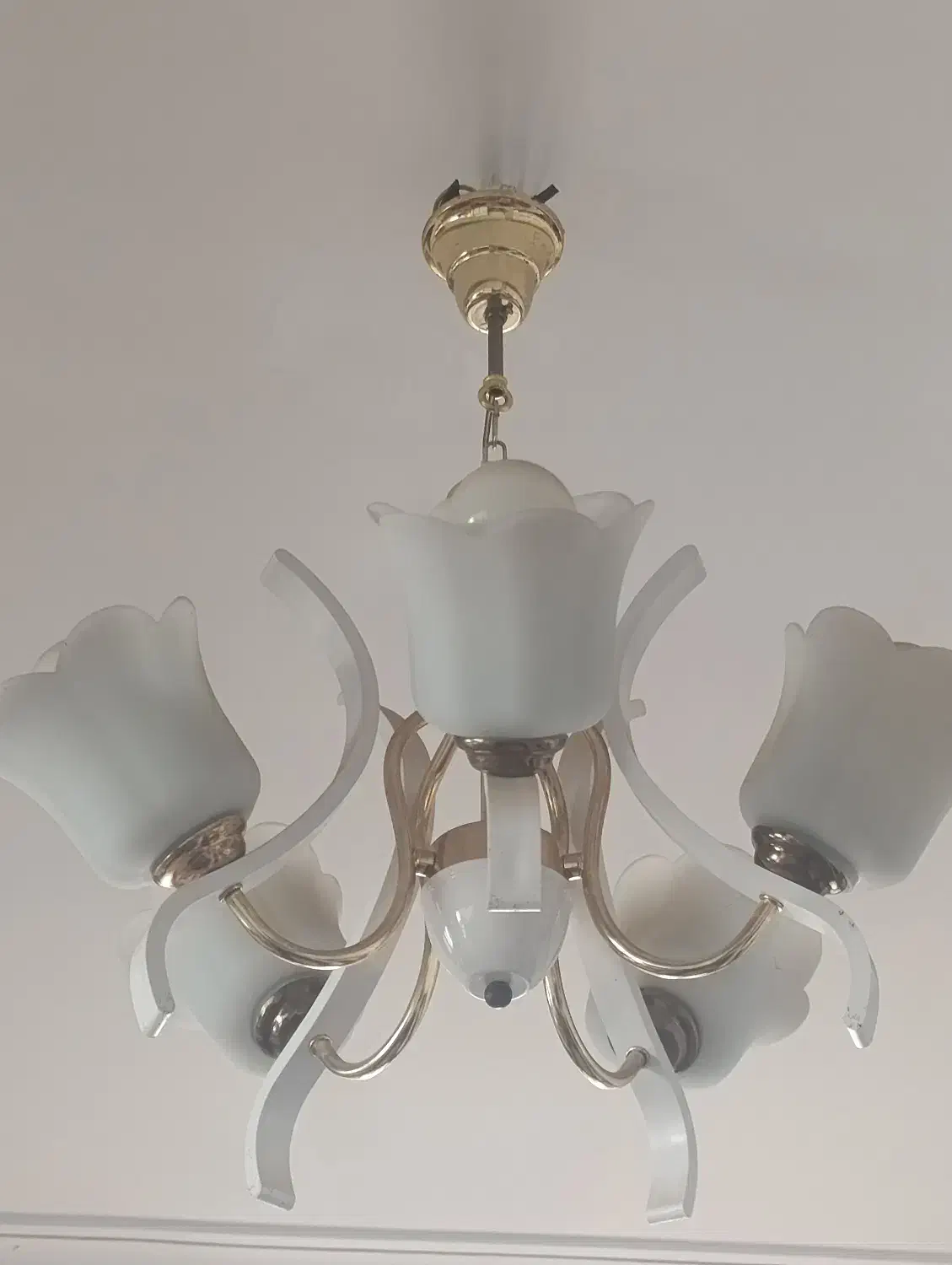 لوستر|لوستر و چراغ آویز|یزد, |دیوار