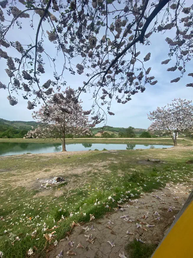 تور|تور و چارتر|لواسان, |دیوار