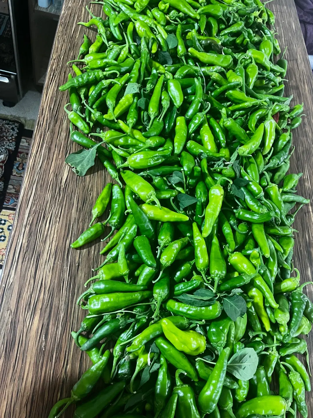 فلفل|خوردنی و آشامیدنی|دورود, |دیوار