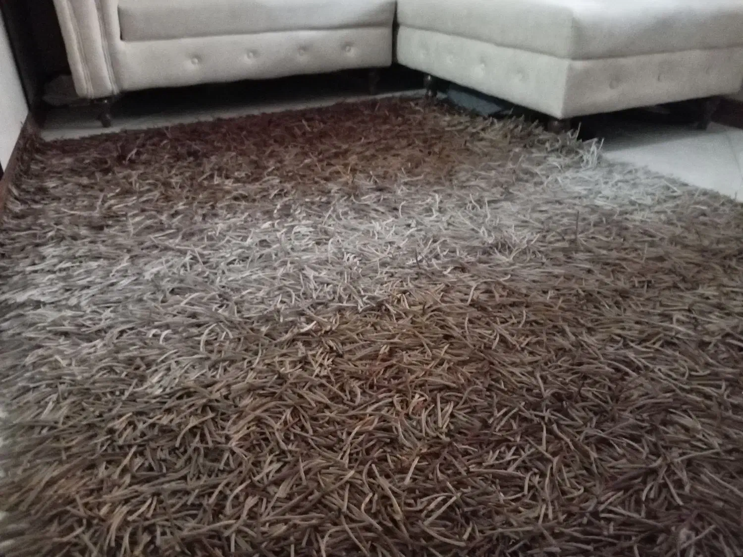 فرش هندی|فرش|تهران, شهید اسدی|دیوار