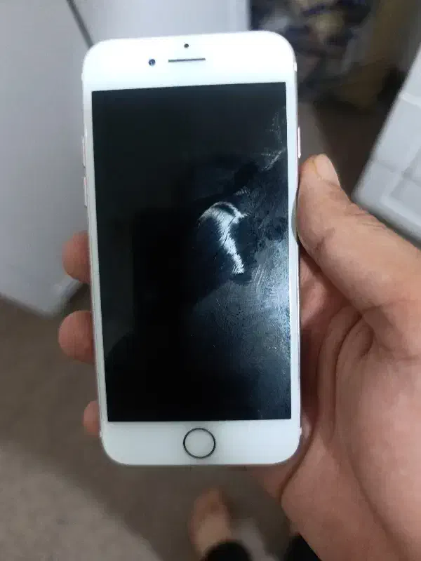 ایفون ۷|موبایل|مشهد, عامل|دیوار