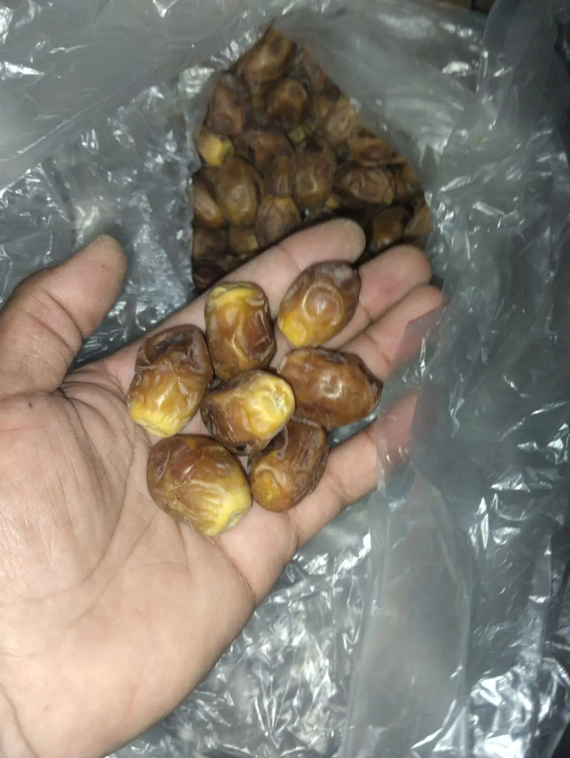 قصب|خوردنی و آشامیدنی|چغادک, |دیوار