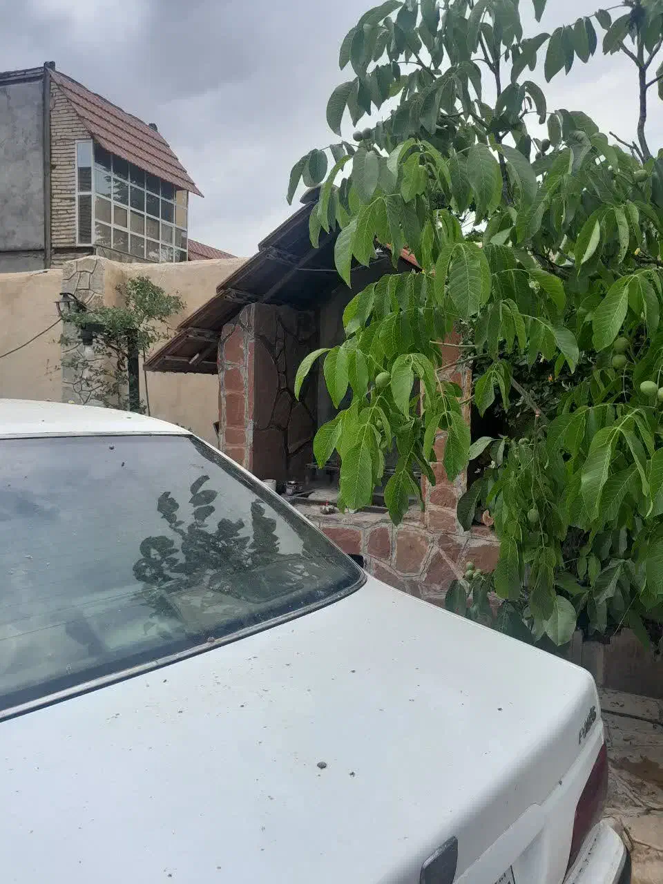 تصویر 6