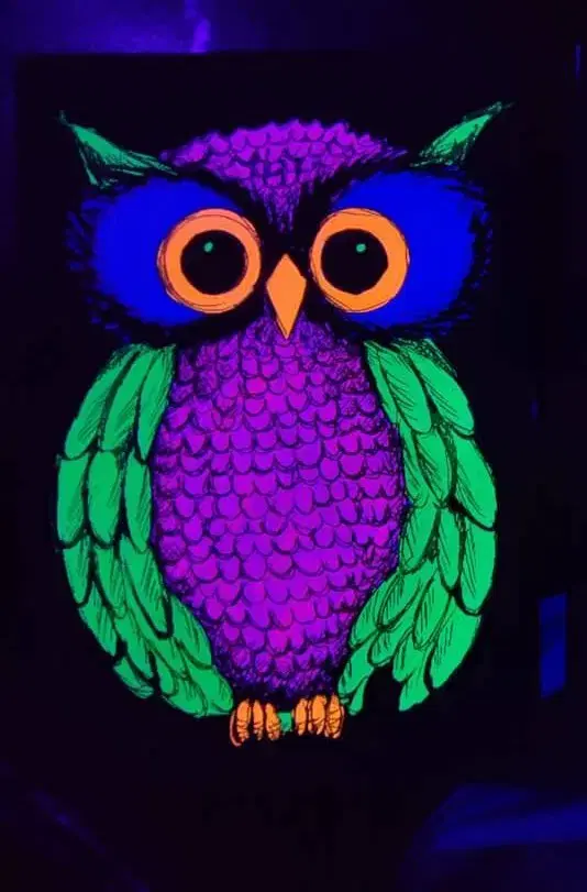 تابلو بلک لایت طرح جغد Blacklight|تابلو، نقاشی، عکس|تهران, ستارخان|دیوار