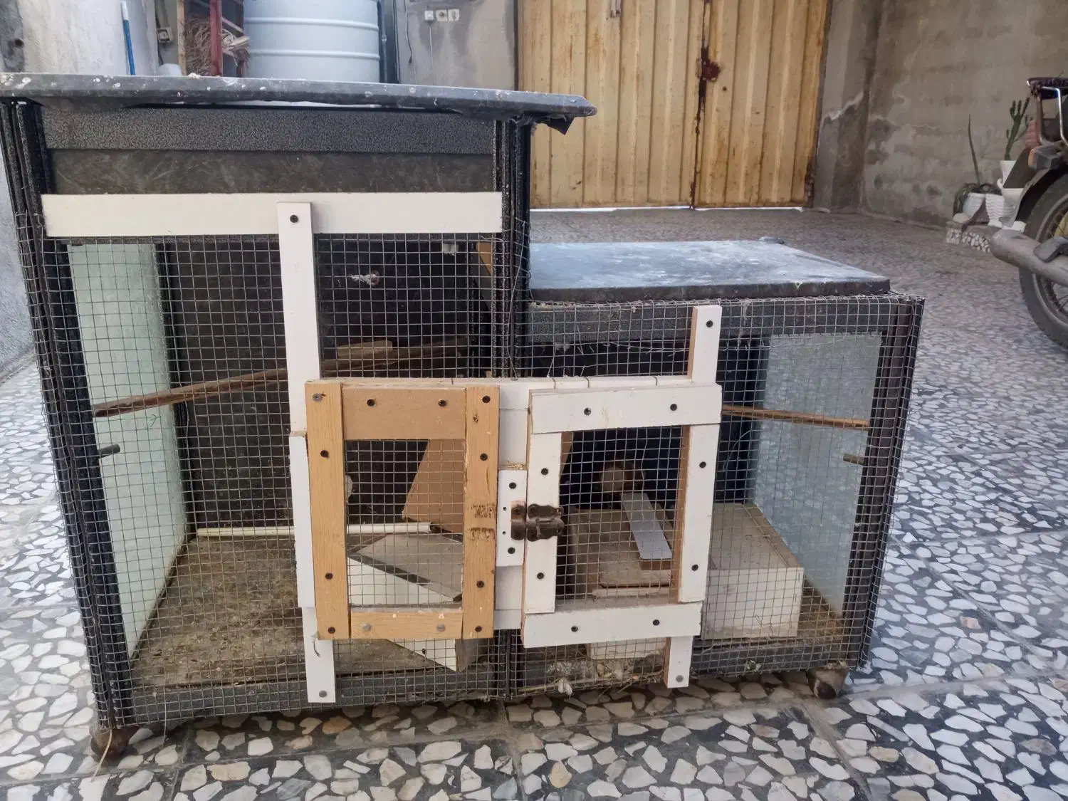 قفس|لوازم جانبی حیوانات|بوشهر, |دیوار