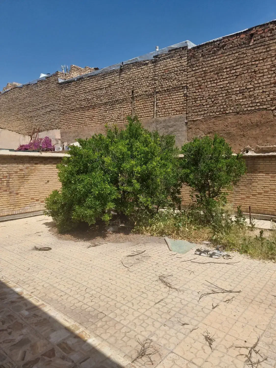 تصویر 3