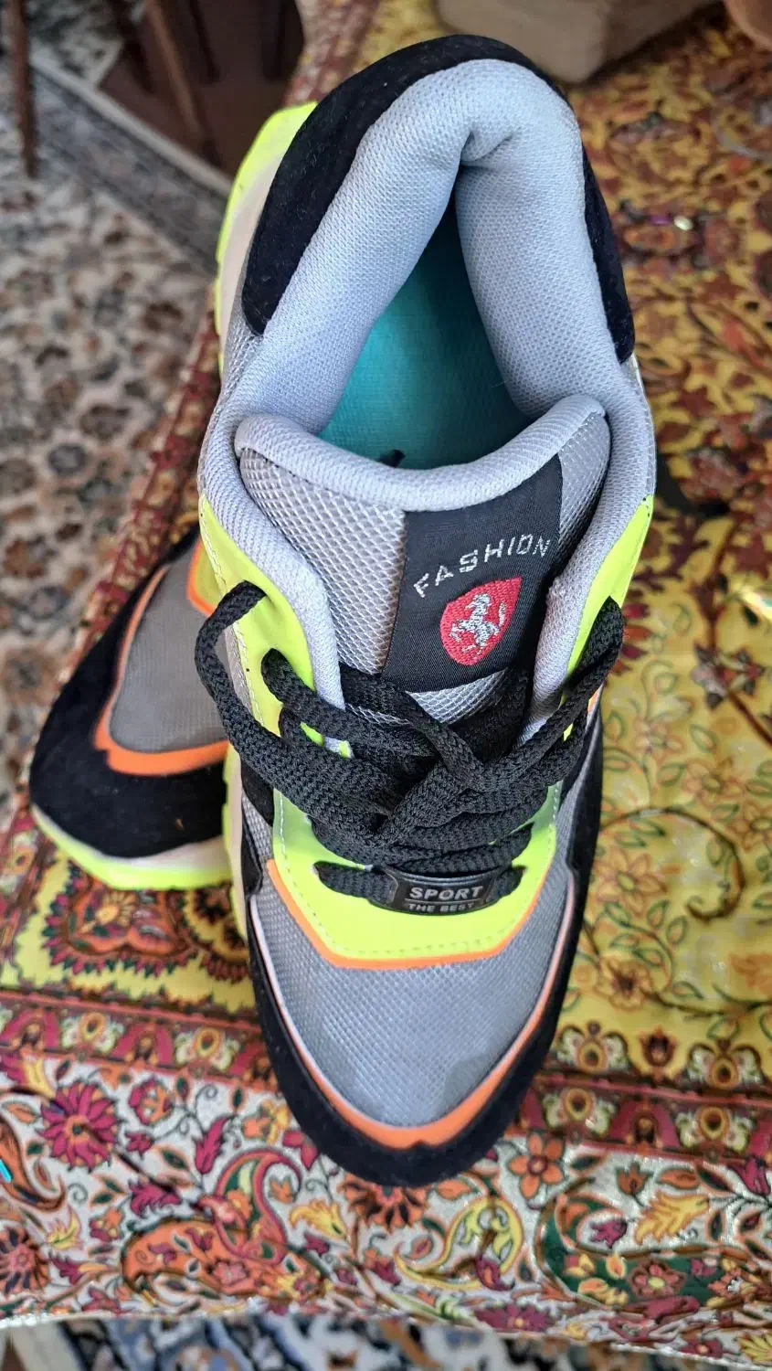 کفش|کیف، کفش، کمربند|شیراز, شیشهگری|دیوار