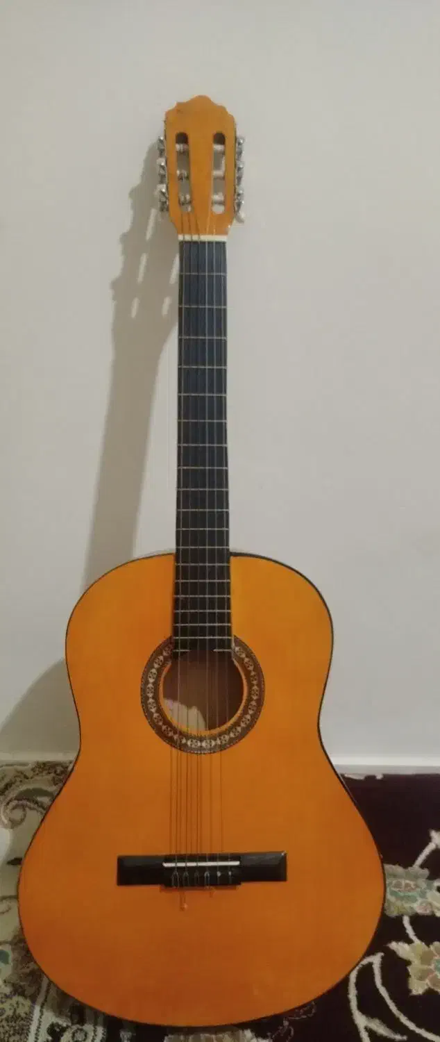 گیتار مبتدی|گیتار، بیس، امپلیفایر|مهاجران, |دیوار